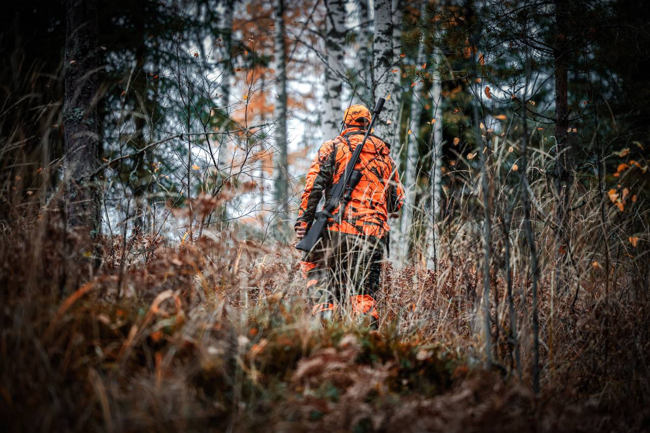 Quelles chasses pratiquer quand on débute au Québec ? Guide du chasseur débutant