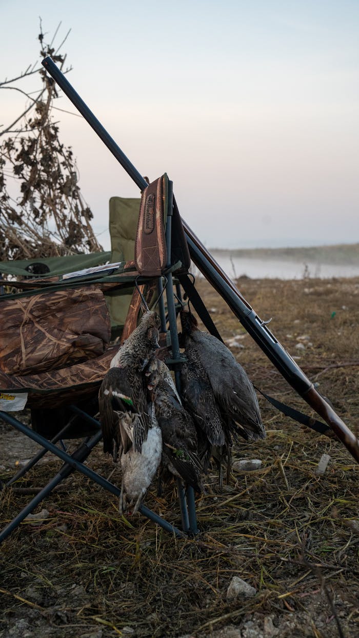 category-03 A detailed view of a hunting setup with ducks by the lakeshore in an outdoor setting.