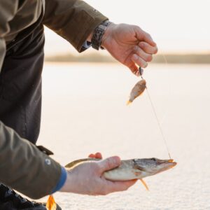 Fisherman holding a freshly caught fish through ice on a snowy winter day.